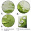 Vert et blanc, spirale abstraite V - Art abstrait spirales murales-2053979209-2053979252