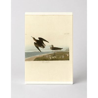 «Schpert Schnz's Sandpiper», art. 279 sur toile, Portrait