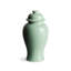 Ricki Ceramic Ginger Jar-1513130399-1513130369