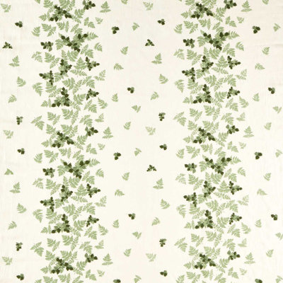 Highgrove Alice`s Fern