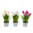 Polysilk Tulip Arrangement in Pot