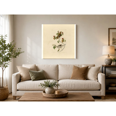 Wood Thrush, Plate LXXIII (1827–1838) — Birds Canvas Wall Art