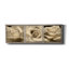 «Rose Trio» par Lori Deiter, art mural sur toile-1470649284
