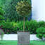 Chelsea Planter Box-97119369-97119371