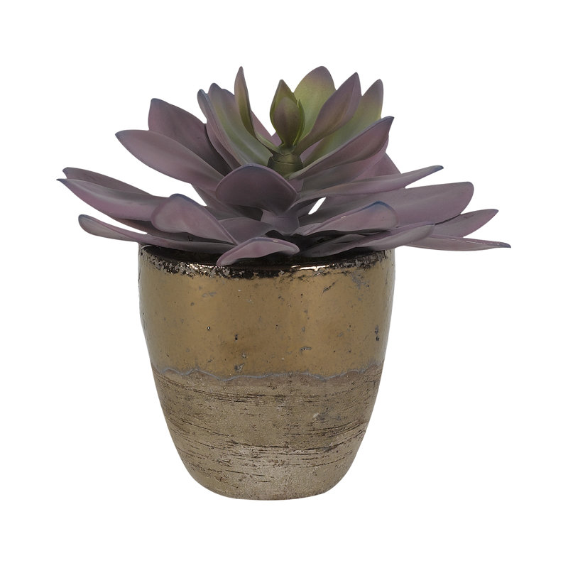 8'' Faux Echeveria Succulent in Ceramic Planter