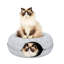 Large Cat Tunnel Bed For Indoor Cats-1562936883