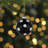 4'' Polka Dots Glass Ball Ornament
