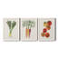 Toile encadrée organique Premium Veg II - prête à être accrochée-2114597072-2114597075