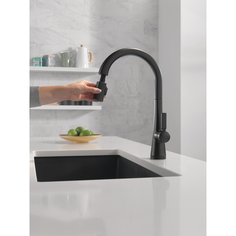 Robinet de cuisine avec douchette extractible Monrovia Touch, Noir mat