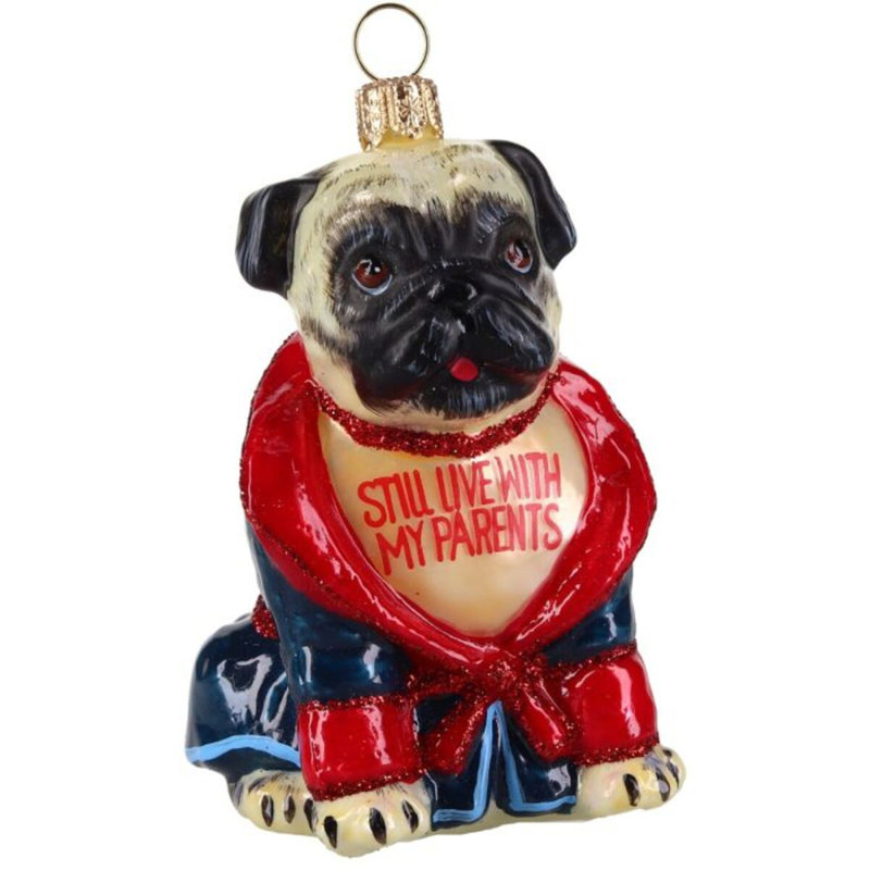 Pug Fawn in Bath Robe "Still Live with Parents"