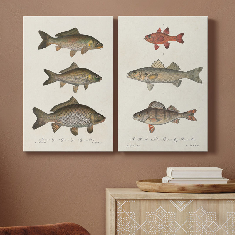 " Species Of Antique Fish I " 2 - Pieces Painting Print, 60" H x 40" W x 1" D