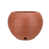 Terra Cotta