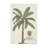 Bananier par Porter Design - impression d'art graphique-26775212-26775211