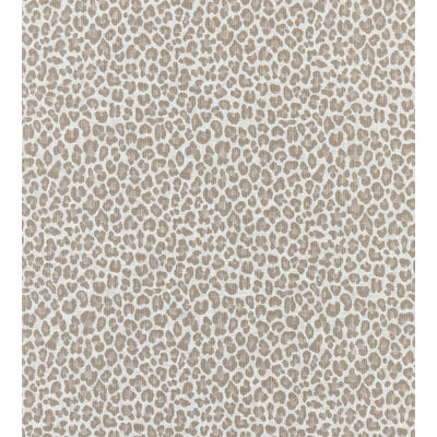 Backyard Bengal Fabric