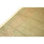 Hand Knotted Wool Oriental Area Rug in Green