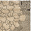 Grady Floral Area Rug-18097574