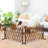 Extendable Instant Fence