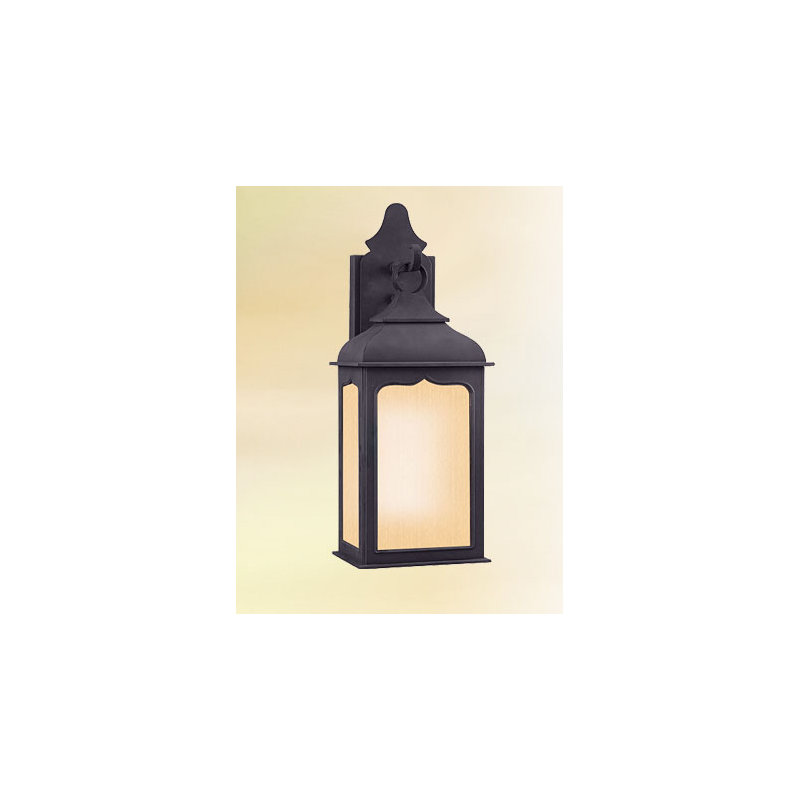 Henry Street Outdoor Wall Lantern, 18.5" H x 7.75" W, Clear Glass