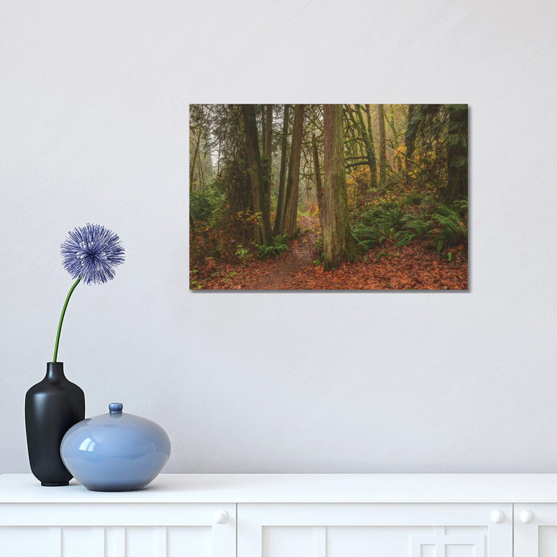 A Fairytale Like Forest by Louis Ruth - Wrapped Canvas Print, 30.48cm H x 45.72cm W x 1.91cm D