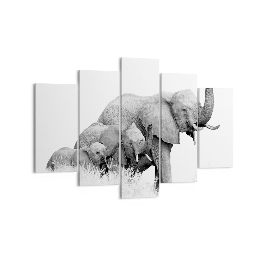 3-tlg. Leinwandbilder-Set Elephants Family Black And White