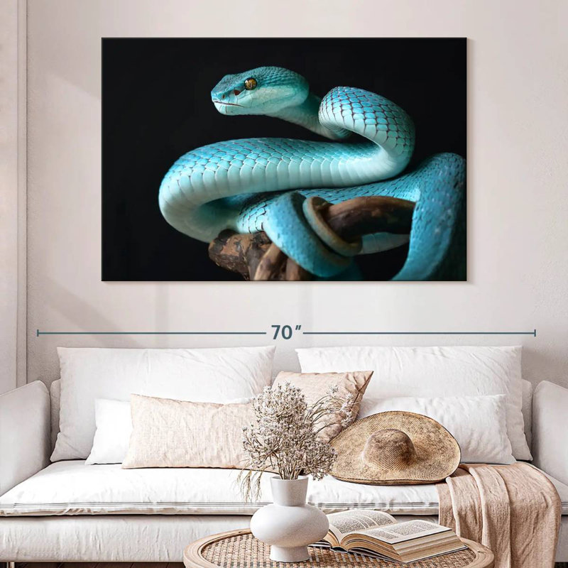 Brampt Blue Sunda Island Pitviper, 20" H x 30" W