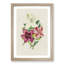 Illustration of Beautiful Flowers - Framed Print-55641702-55641707