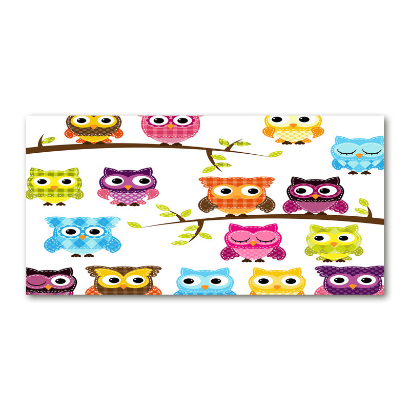 Colourful Owls - Wrapped Canvas Print