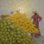 Golden Harvest