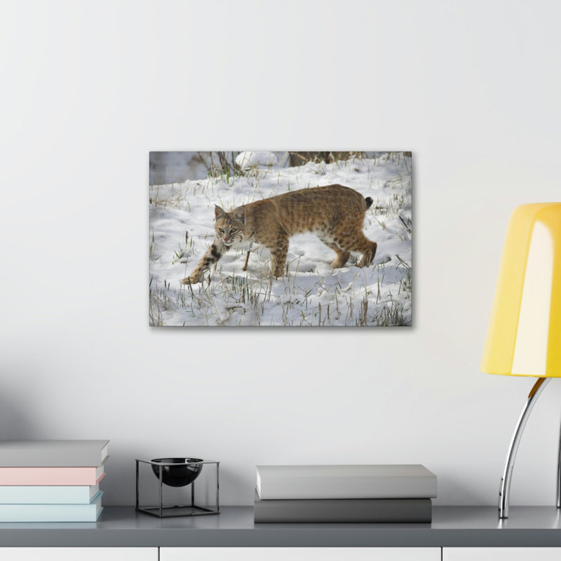 Art mural majestueux Bob-Cat, H 11 po x l 14 po