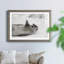 Laughing Seal - photographie avec cadre photo-1242266242-1242266300
