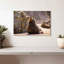 Phoque bronzant-1369388207