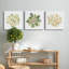 «Succulent Cameo», ensemble de 3 toiles tendues-506474725