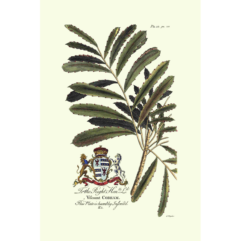 Royal Botanical III, H 12 po x l 8 po