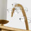 Alonzo 8 - Light Chandelier-1323128933