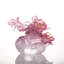 Plants & Flowers Crystal