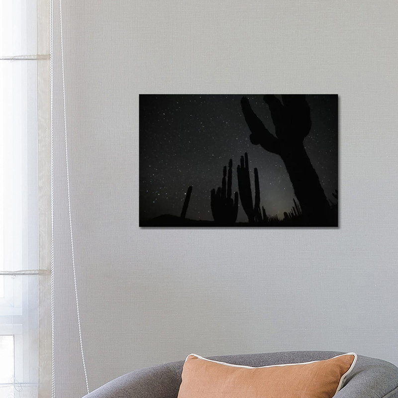 Cardon Cacti By Night With Stars, El Vizcaino Biosphere Reserve, Mexico by Cyril Ruoso - Wrapped Canvas Print