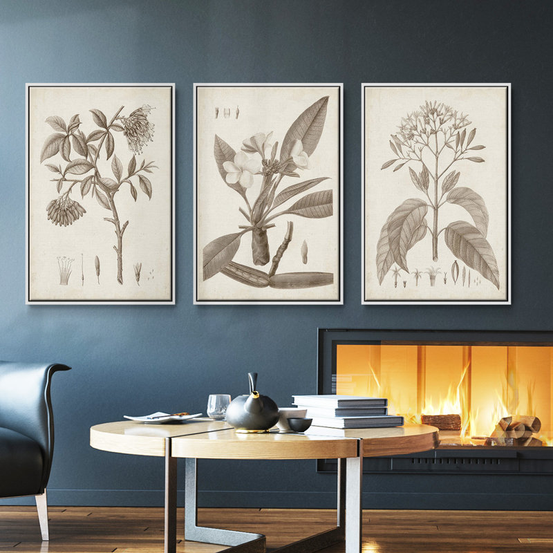 Antique Almond Botanical II - Ensemble de 3 reproductions de photos sur toile, Blanc, H 40 po x l 78 po