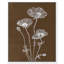 «White Poppy II», impression sur toile Boho Rustic par Art Remedy, cadre blanc, 36 x 45-1347108046-1347108044
