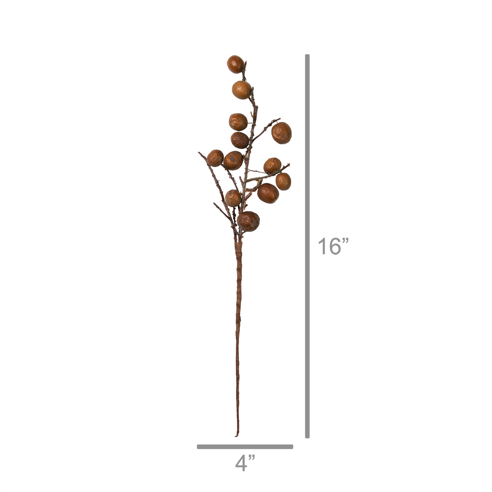 Botanical Stems