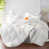 Blanc est en rupture de stock