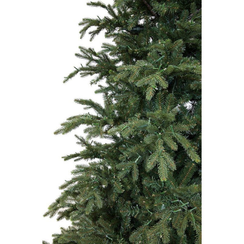Sapin nordique éclairé par Forevertree, 7,5 pi