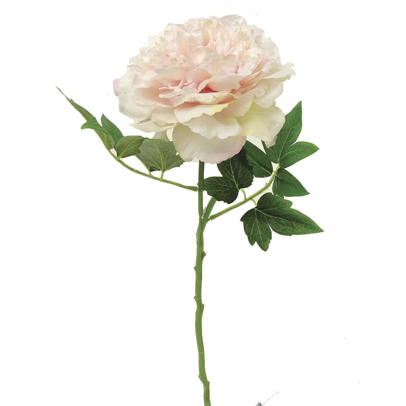 Tige de pivoine, H 23,5 po x l 6 po x P 6 po, Rose