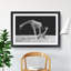 Two Giraffes Vol.3 - Framed Print-62792605-62792607