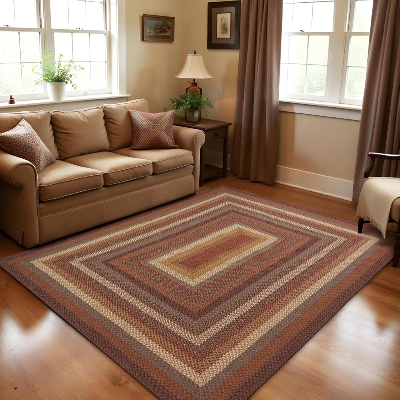 Privett Braided Cotton Rug for Coastal Decor Rug, Rectangle 5' x 8', Brown/Red/Multicolor