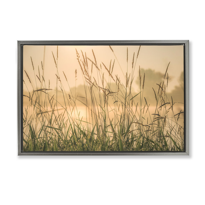 Toile flottante «Grassy Country Reeds» par Marty Hulsebos, Cadre flottant gris lustré, H 21 po x l 31 po