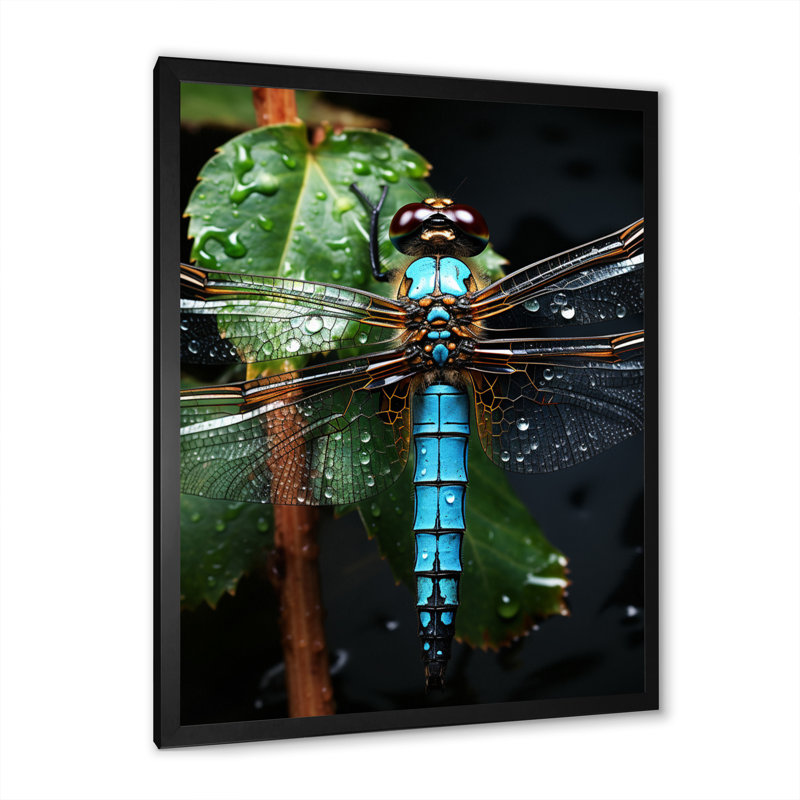 «Green Dragonfly Portrait Vibrant I», reproductions d'art mural animaux, H 40 po x l 30 po x P 1,5 po, Cadre photo noir