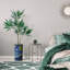 66 plantes-97701027