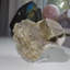 Grappe Powellite fluorescente