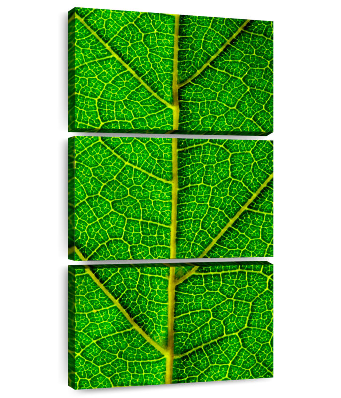 Green Leaf, 27" H x 12" W