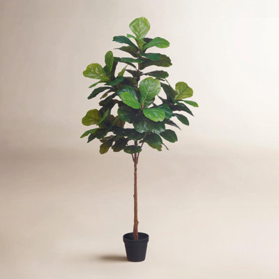 Weatherhill 72" Fiddle Leaf Fig Tree